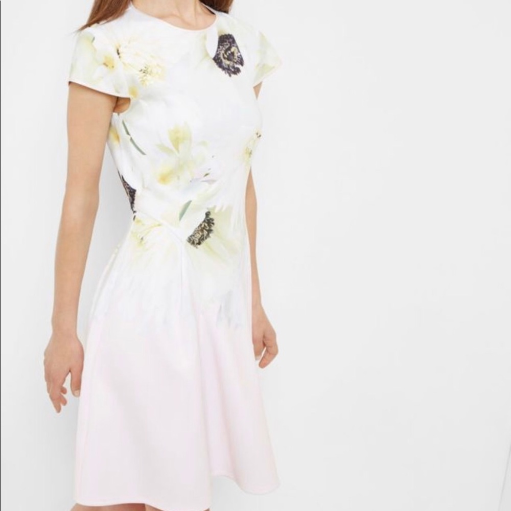 Ted Baker pearly petal skater dress New Size 0